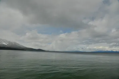 DSC_6776 (Large).JPG